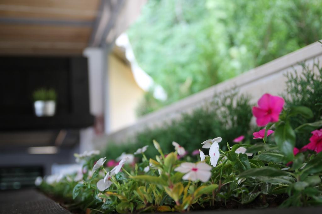 Luna Beach Hotel Golden Sands Εξωτερικό φωτογραφία